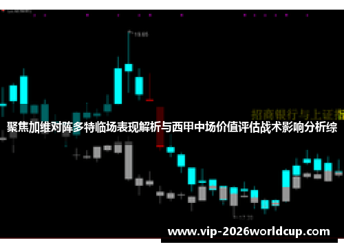 聚焦加维对阵多特临场表现解析与西甲中场价值评估战术影响分析综